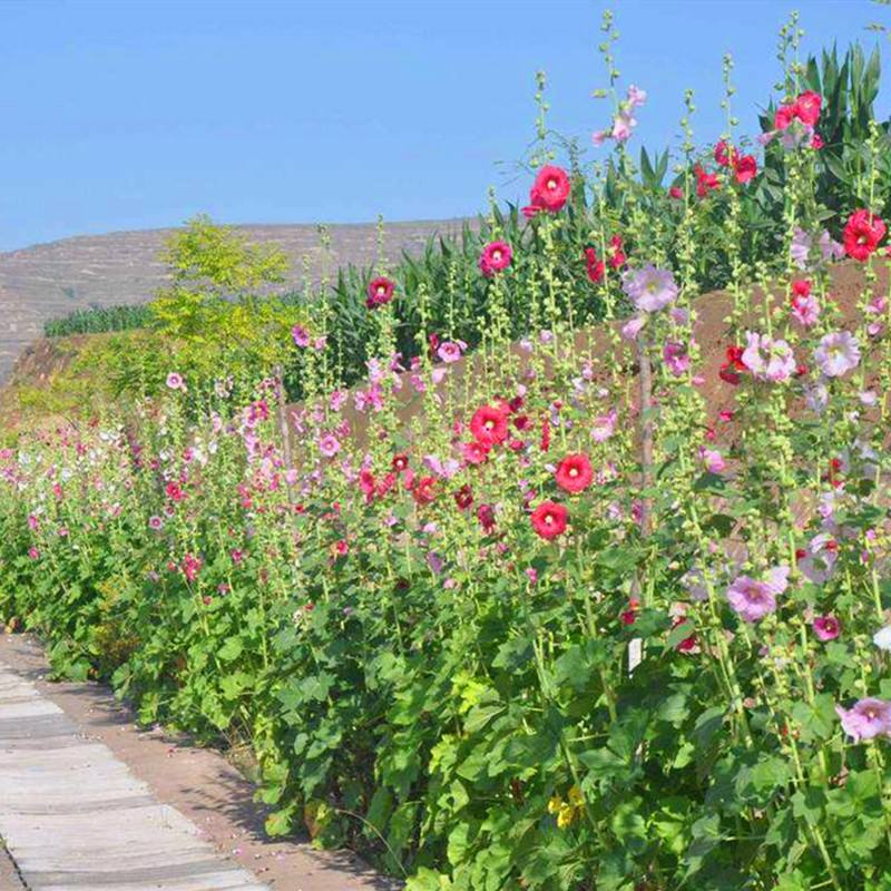 郑州建筑二级资质转让剥离多少钱,开封公路三级资质转让