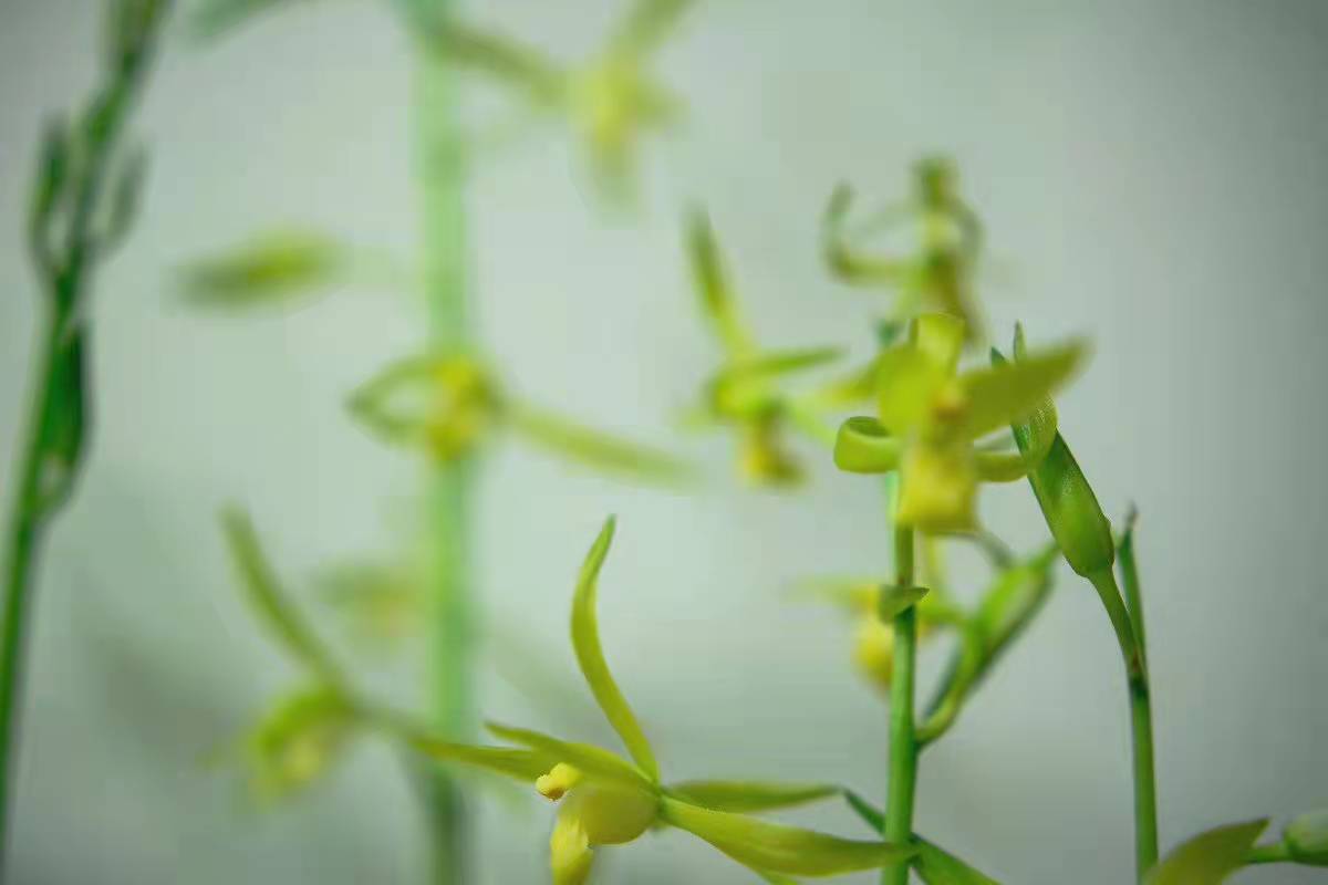 1641710198301195.jpg 123b323f27b06ecce0898fb5aef183c - 副本.jpg