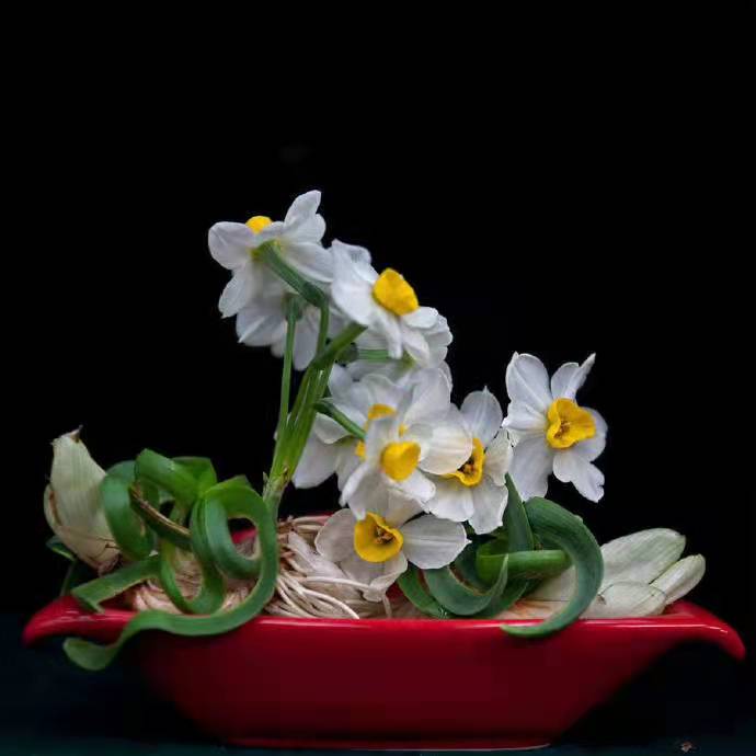 1641716458442477.jpg 1255d668385ade0c0bcb166e0045a46.jpg