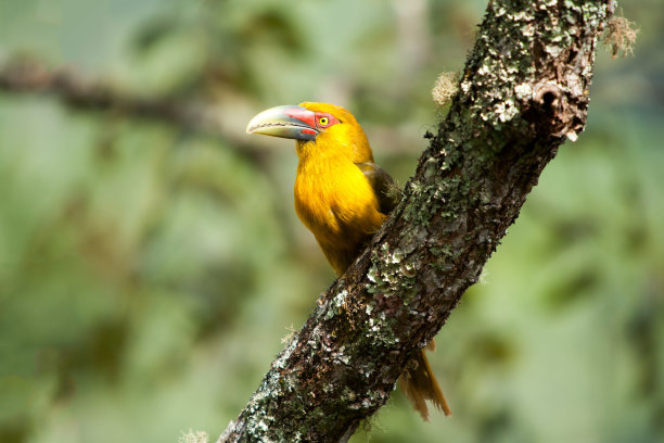 1641721723563021.jpg t01228f992dd1c53b92 - 副本.jpg