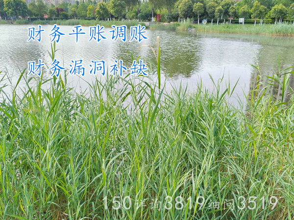 郑州粮油公司财务调账清账，加强内部财务管控