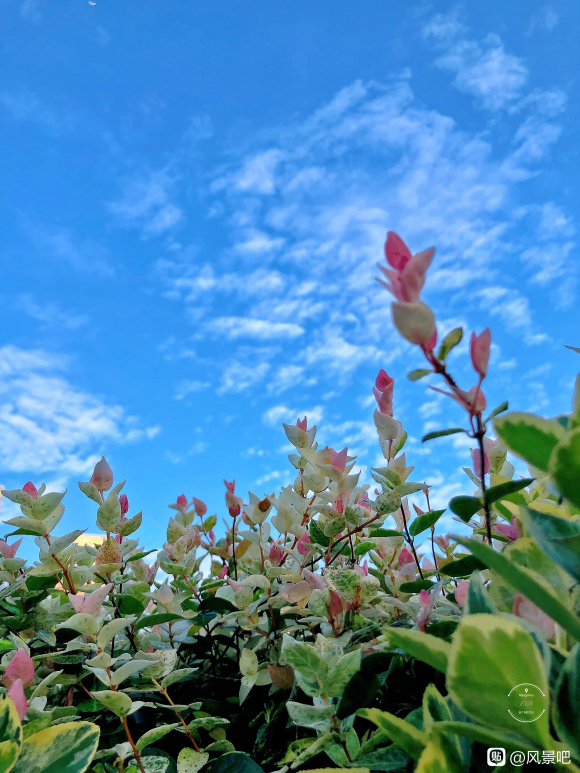 河南装修一级资质转让（东区资质就是这么牛X）