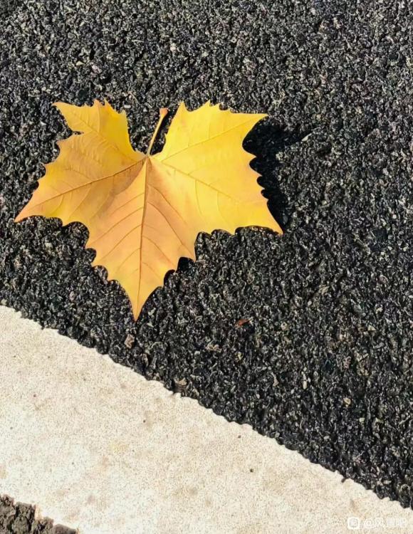 郑州防水一级资质转让/法人 股东 监事