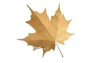 郑州市装饰二级公司转让，郑州市防水二级资质转让“史诗级更新”