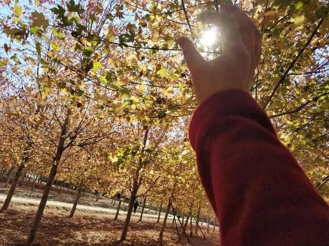 郑州装修二级资质转让，市政二级资质转让"有效期延长”