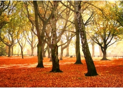 郑州电力二级资质转让（多家带安许）