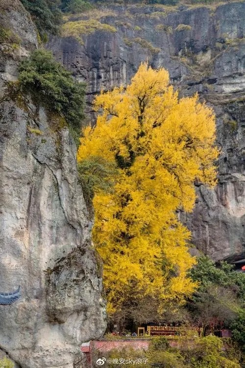 资质更新:开封电力资质转让及办理,政策福利!