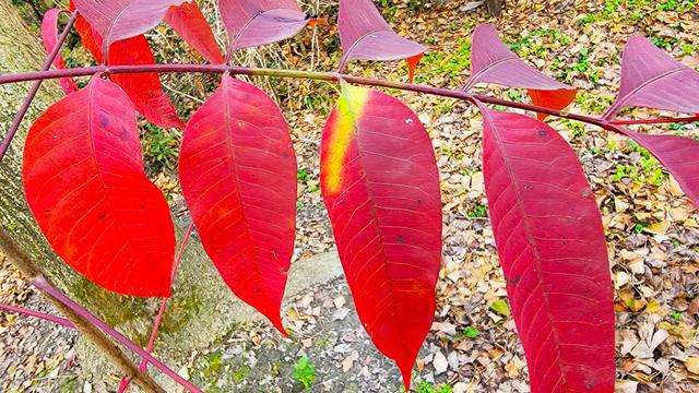 郑州建筑三级资质转让2022年初的行情如何呢?