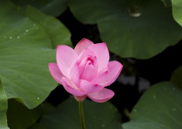 郑州房建三级施工资质转让(现货)建筑市政总承包