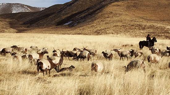 郑州防水二级资质转让办理防水防腐保温二级资质要求（装修二级资质办理条件）