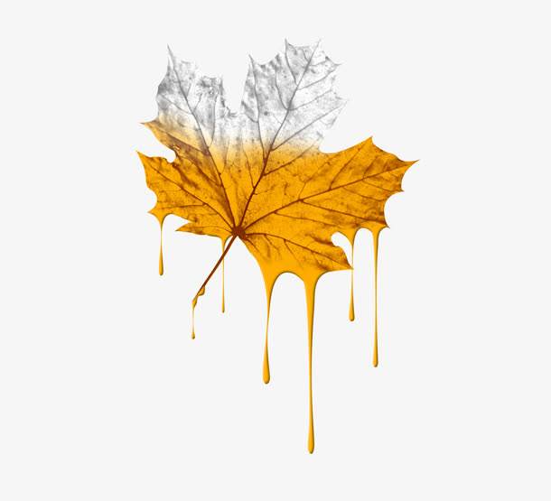 郑州装修二级幕墙二防水二级资质转让房建三级资质转让-核酸检测