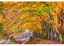 信阳市2级装修资质转让信阳装修装饰资质转让看这里变更流程