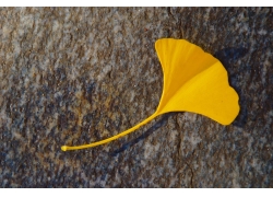 周口建筑装修装饰二级资质转让建筑装修一级资质转让