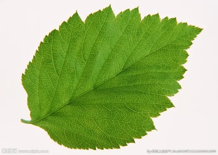 郑州.河南建筑施工资质收购转让服务施工项目齐全-全程服务