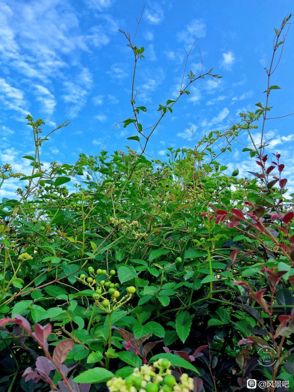 郑州自然人代开打包税率是多少-马道渠成