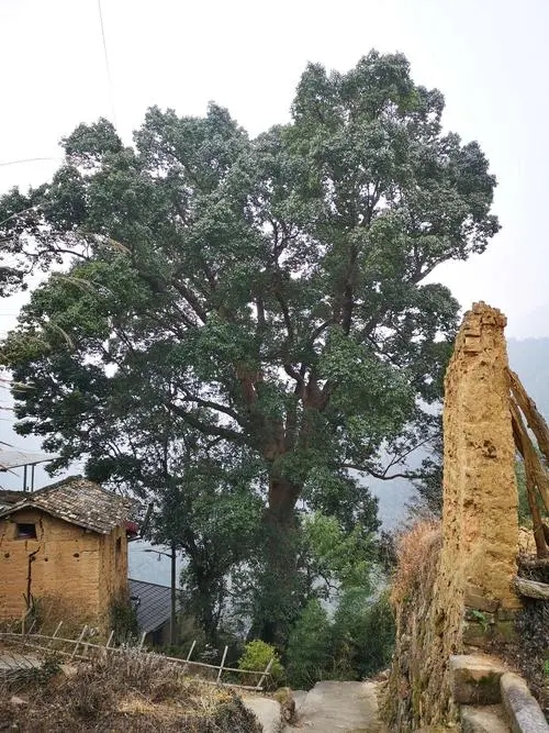 郑州市建筑三级市政三级股权转让建筑装修防水资质转让