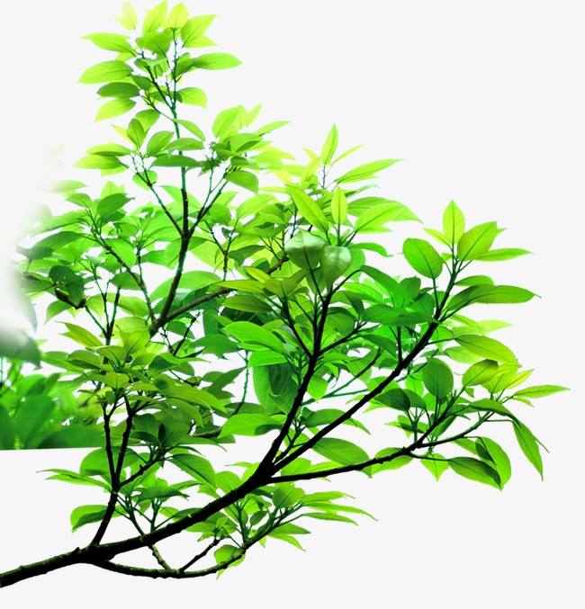 郑州冶金施工资质转让/冶金三级资质出售收购转让