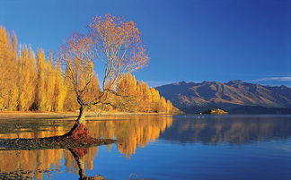 河南装修装饰防水装修幕墙一级资质转让
