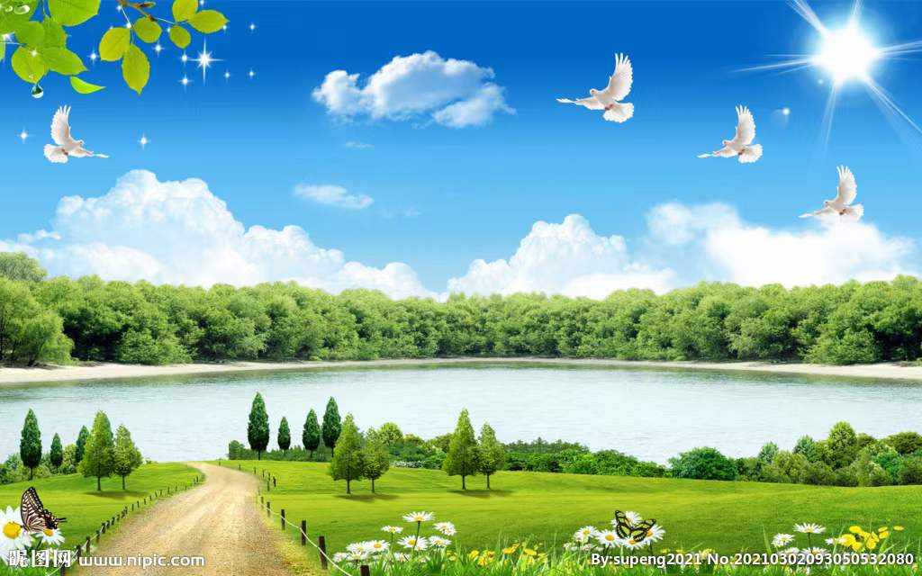 河南税务自然人代开的规定官宣自然人代开操作指引