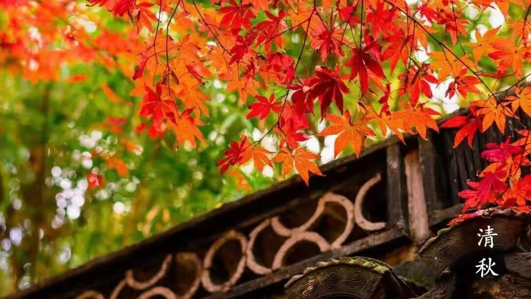 河南驻马店灵活用工平台个税核定征收企业实际成本不到2%