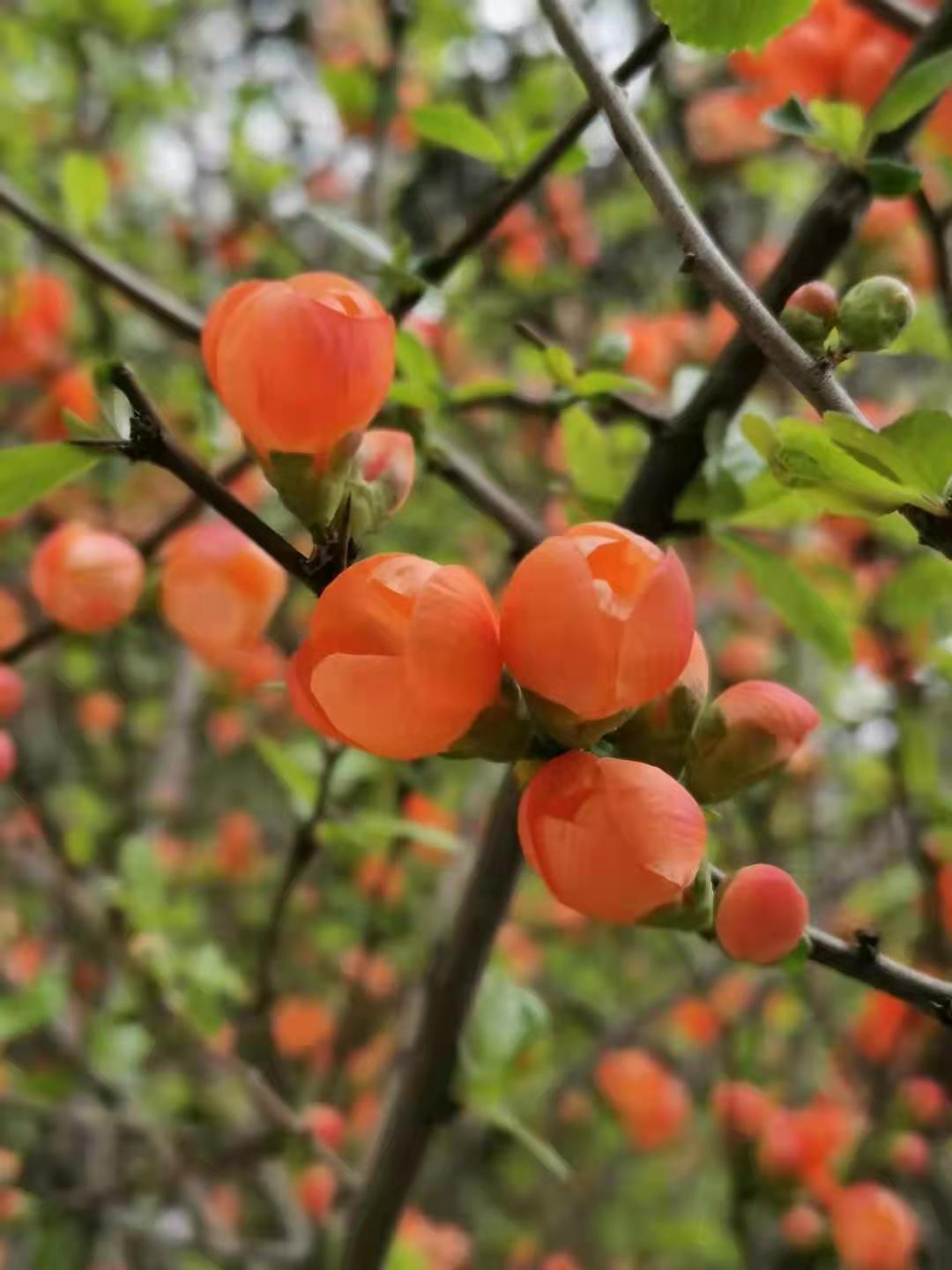 郑州建筑公司施工队财务合规个体户核定政策15903654883