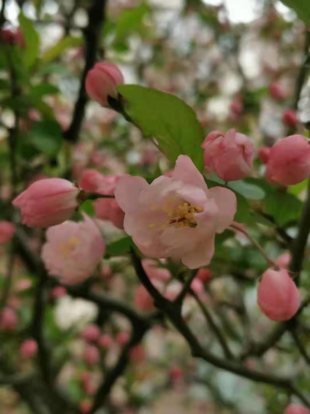 河南郑州企业股东分家账目不清楚的处理方式有哪些