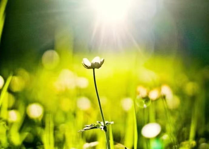 河南郑州注册个体户享受个税核定优惠政策