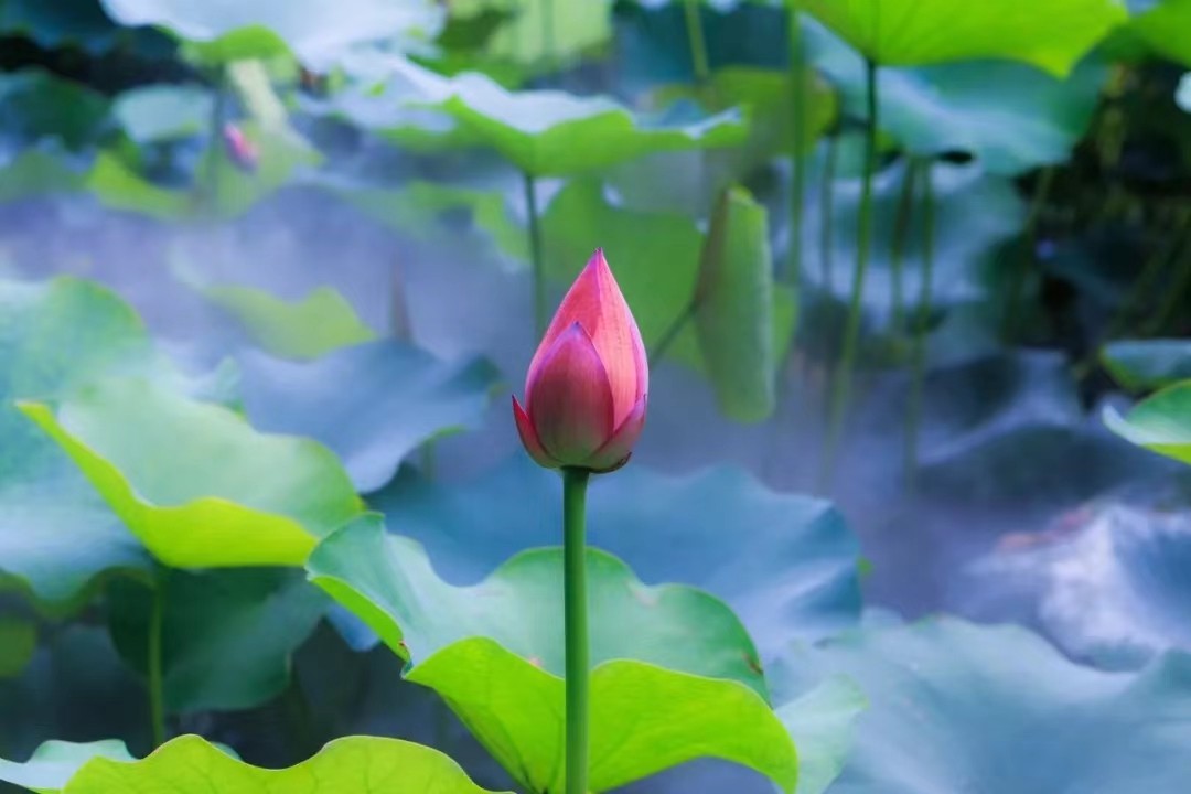 河南都有什么税收优惠政策，核定政策哪些地方有