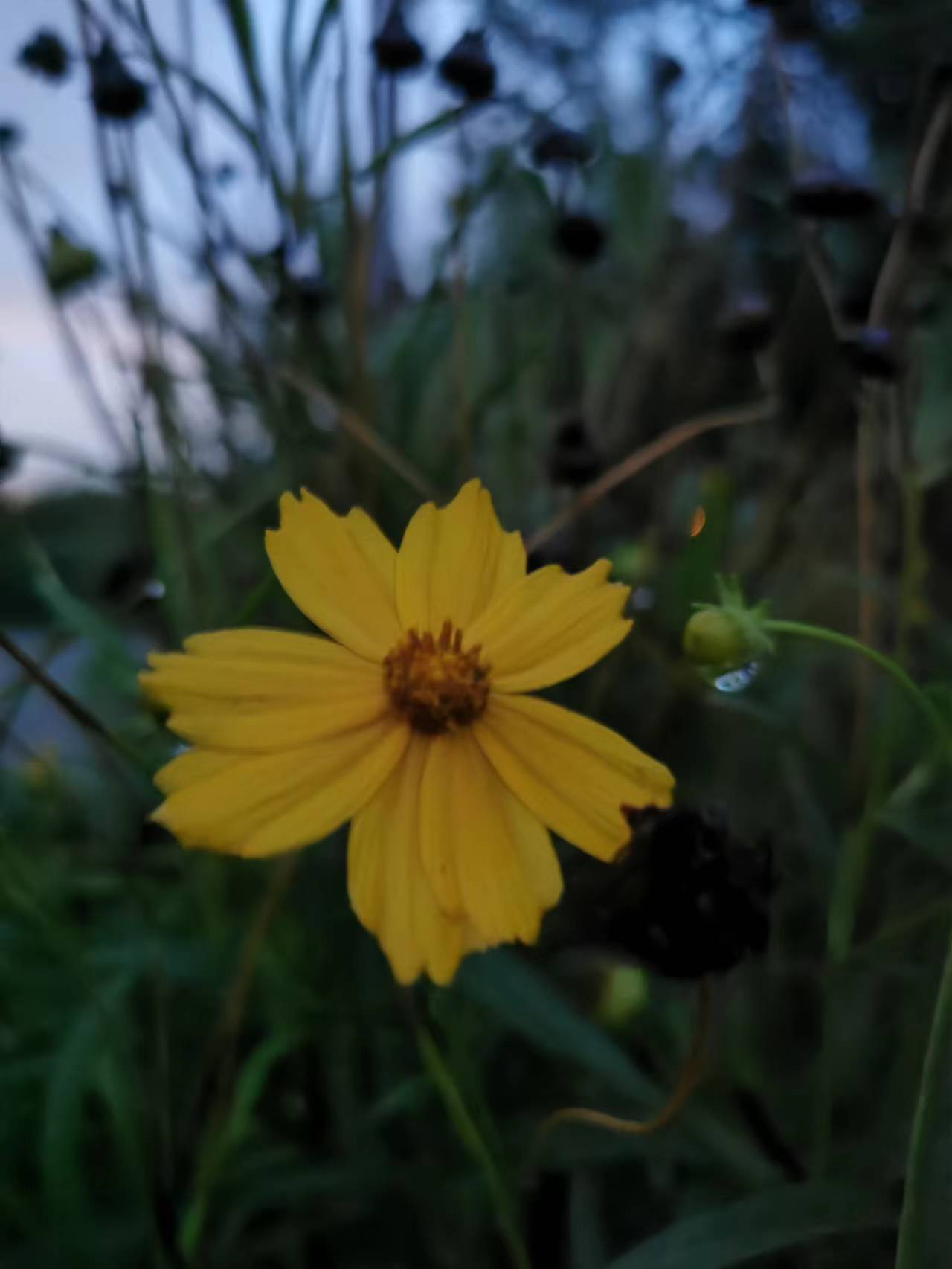 开封哪些地方有建筑公司入住的奖励政策