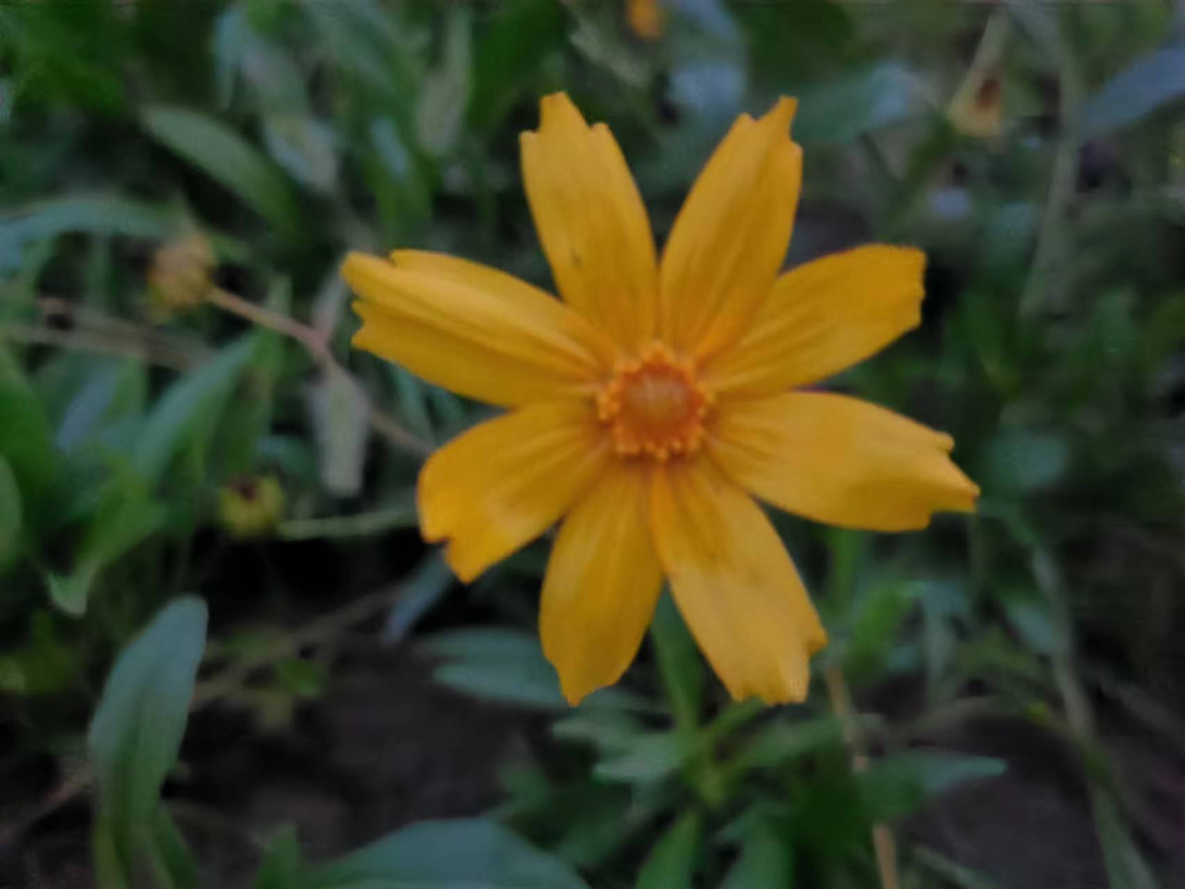 河南税收优惠总部经济园区政府扶持政策