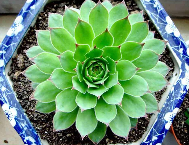 商贸企业可以享受哪些税收优惠郑州商贸公司财税合规方案