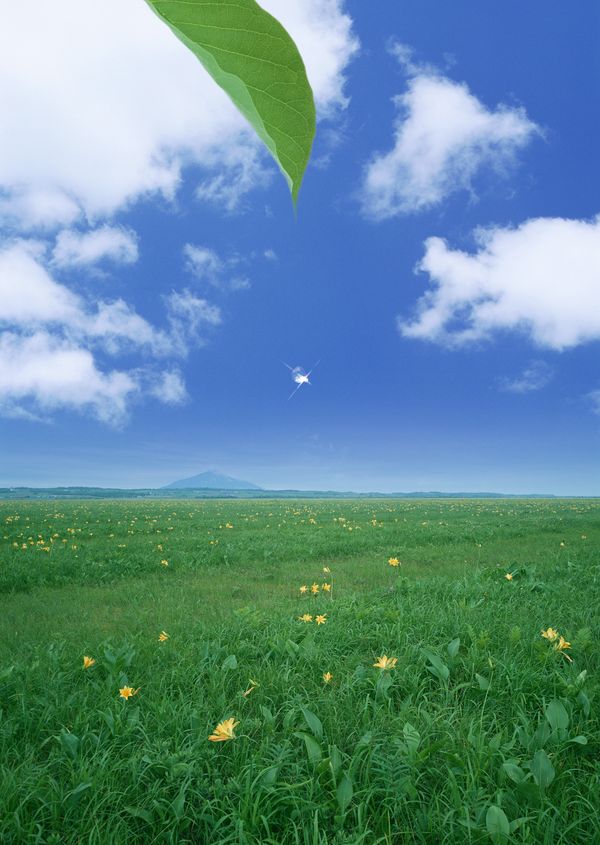 电子智能化二级资质转让费用/河南电子智能化二级资质转让