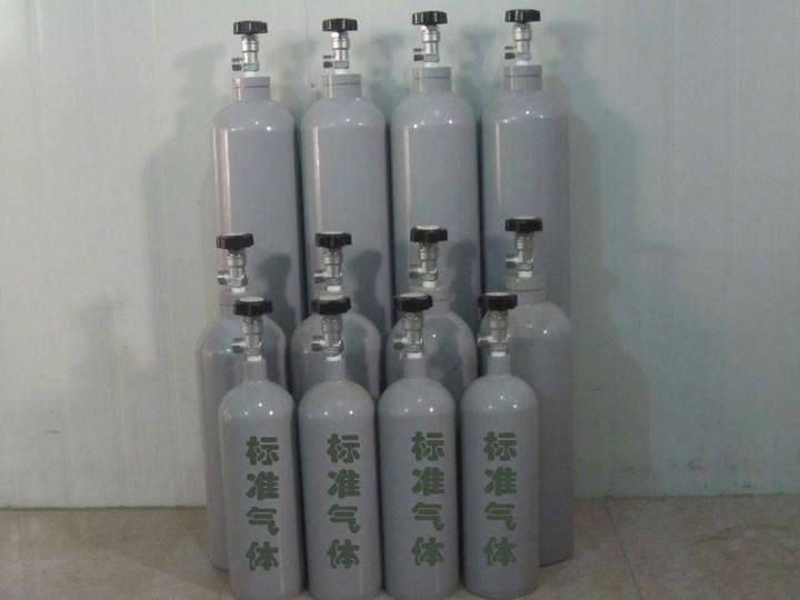 一氧化碳标准气样 4L钢瓶