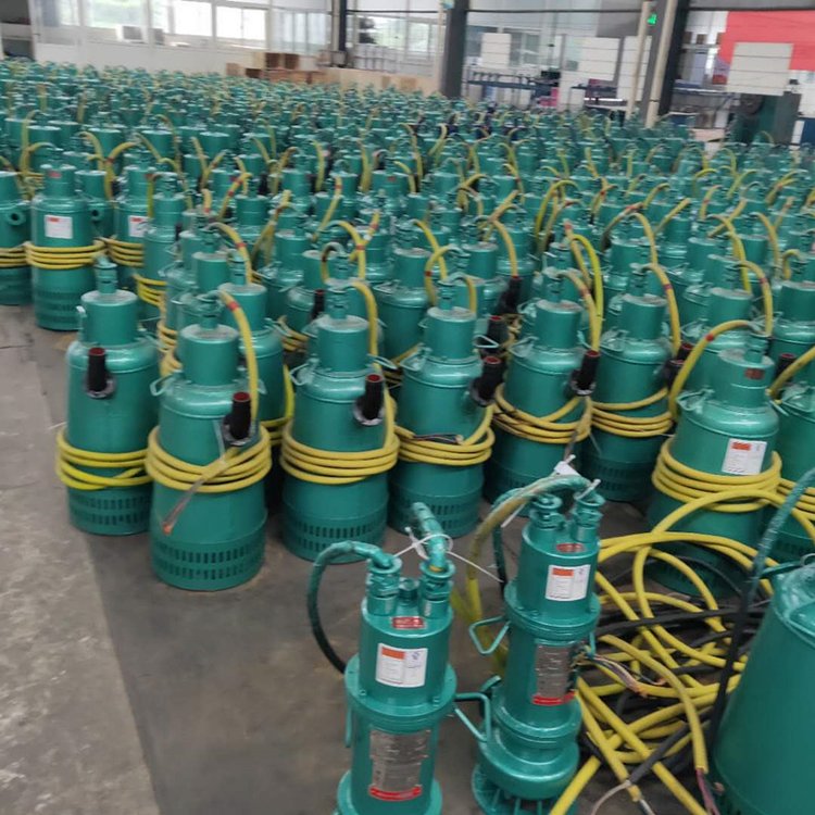 BQS300--40-75/N 隔爆型矿用排沙电泵