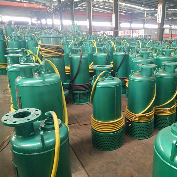 BQS100-200/3-132/N矿井小使用潜水泵