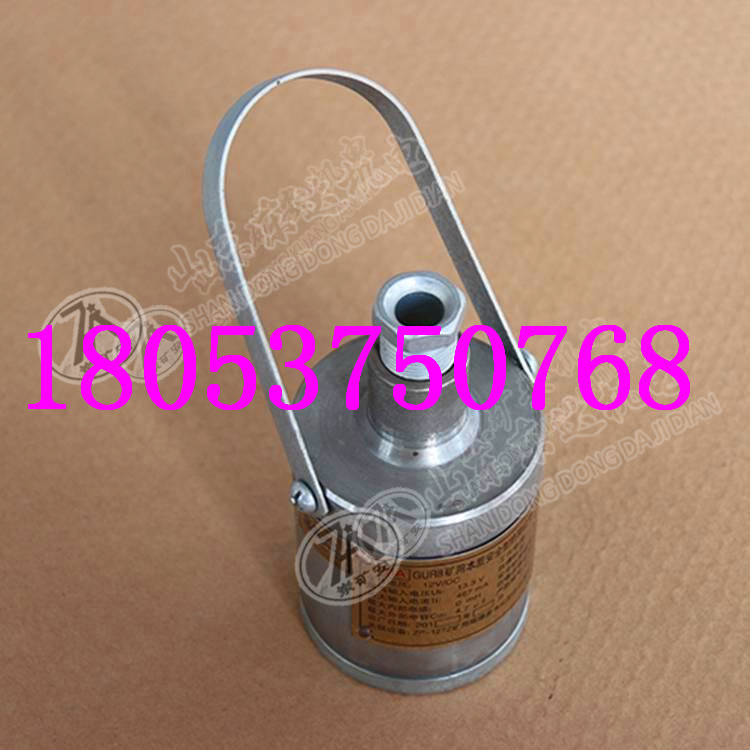 GUR5本安型热释传感器 热释温控传感器人体传感器