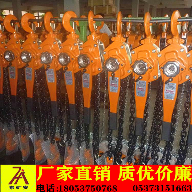 电动葫芦 厂家批发钢丝绳电动葫芦 散热快 噪音小