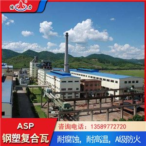 结力asp钢塑瓦 asp防腐瓦 山东菏泽金属覆膜瓦用于化工厂