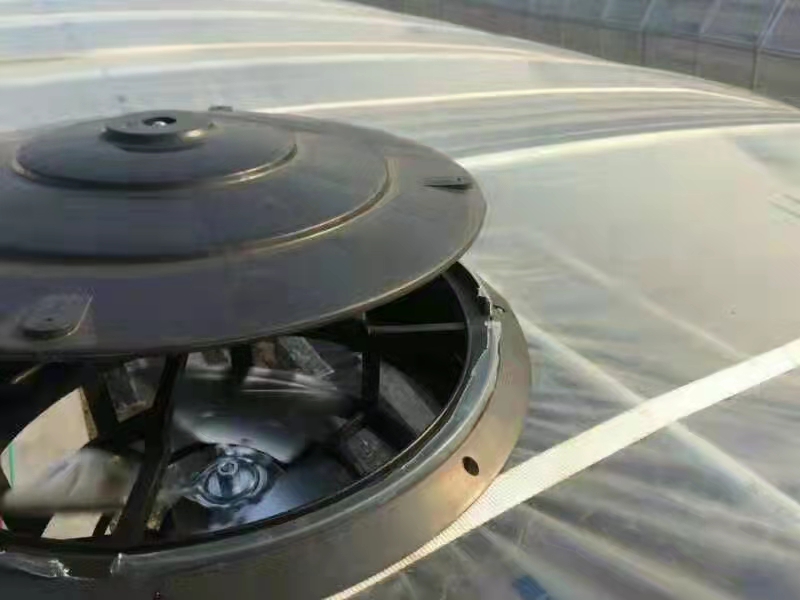 屋顶风机 养殖设备 屋顶专用风机