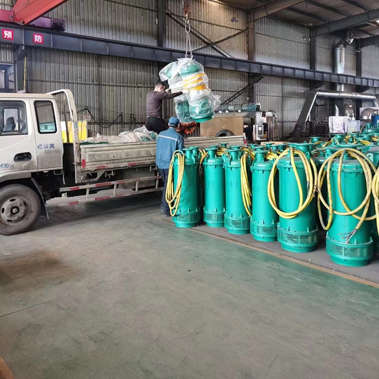 BQS50-150/2-45/N矿用隔爆型潜水排沙电泵技术要求