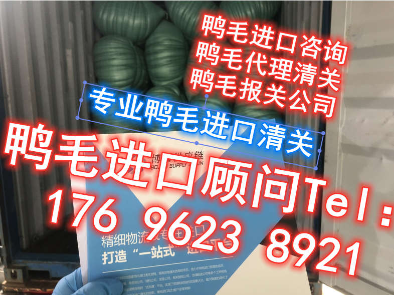 安徽货代公司鸭毛进口代理报关