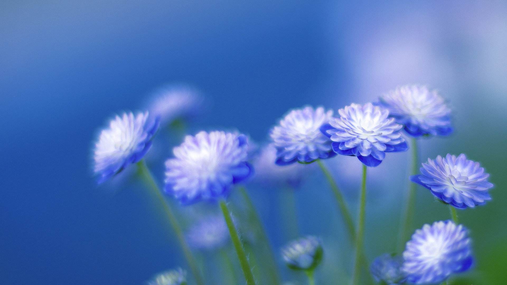 src=http___img9.51tietu.net_pic_2019-090807_hywdfduosb2hywdfduosb2.jpg&refer=http___img9.51tietu.jpg