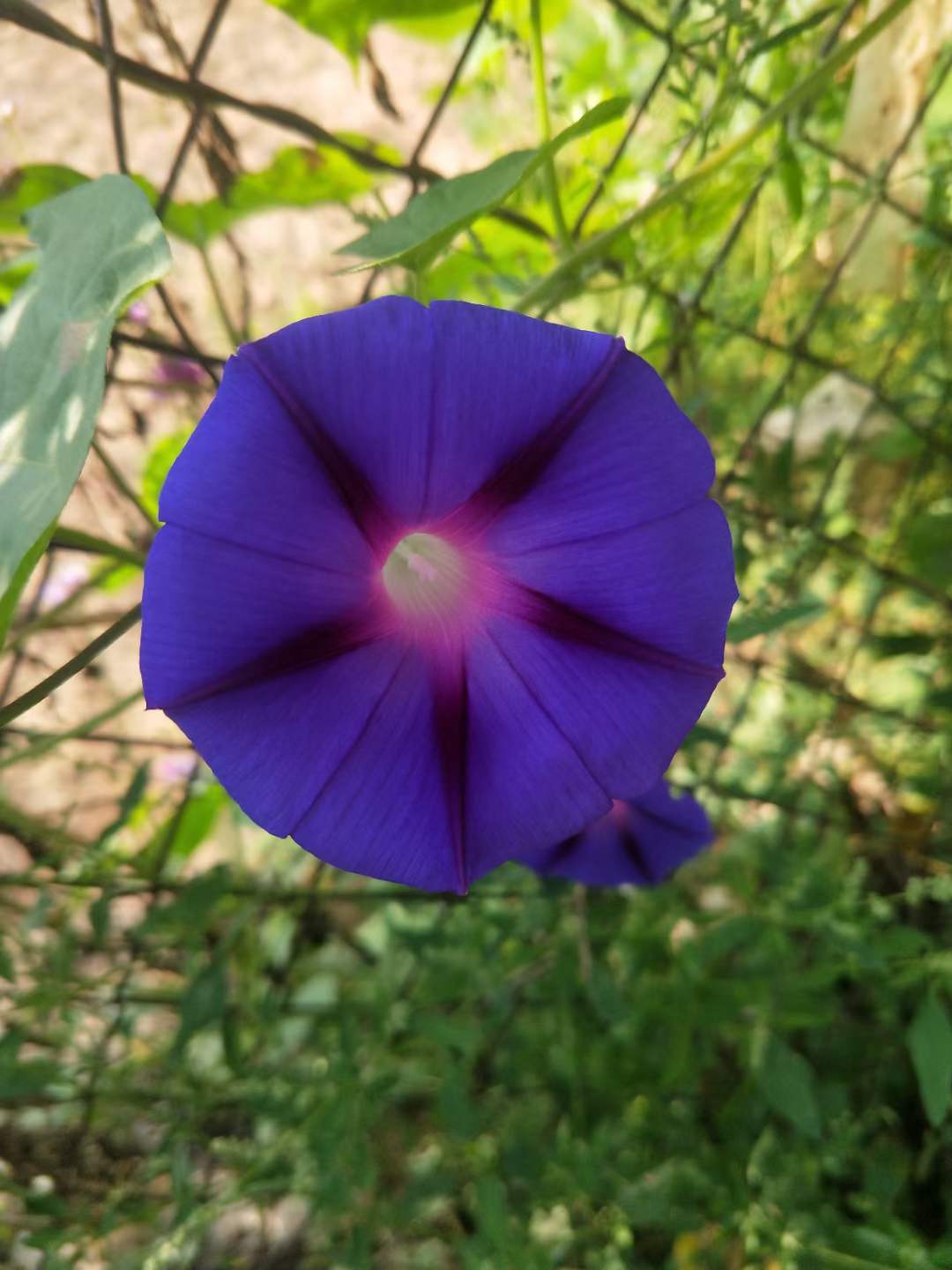 许昌环保一级公司转让市政二级资质转让（分整转让都可以）