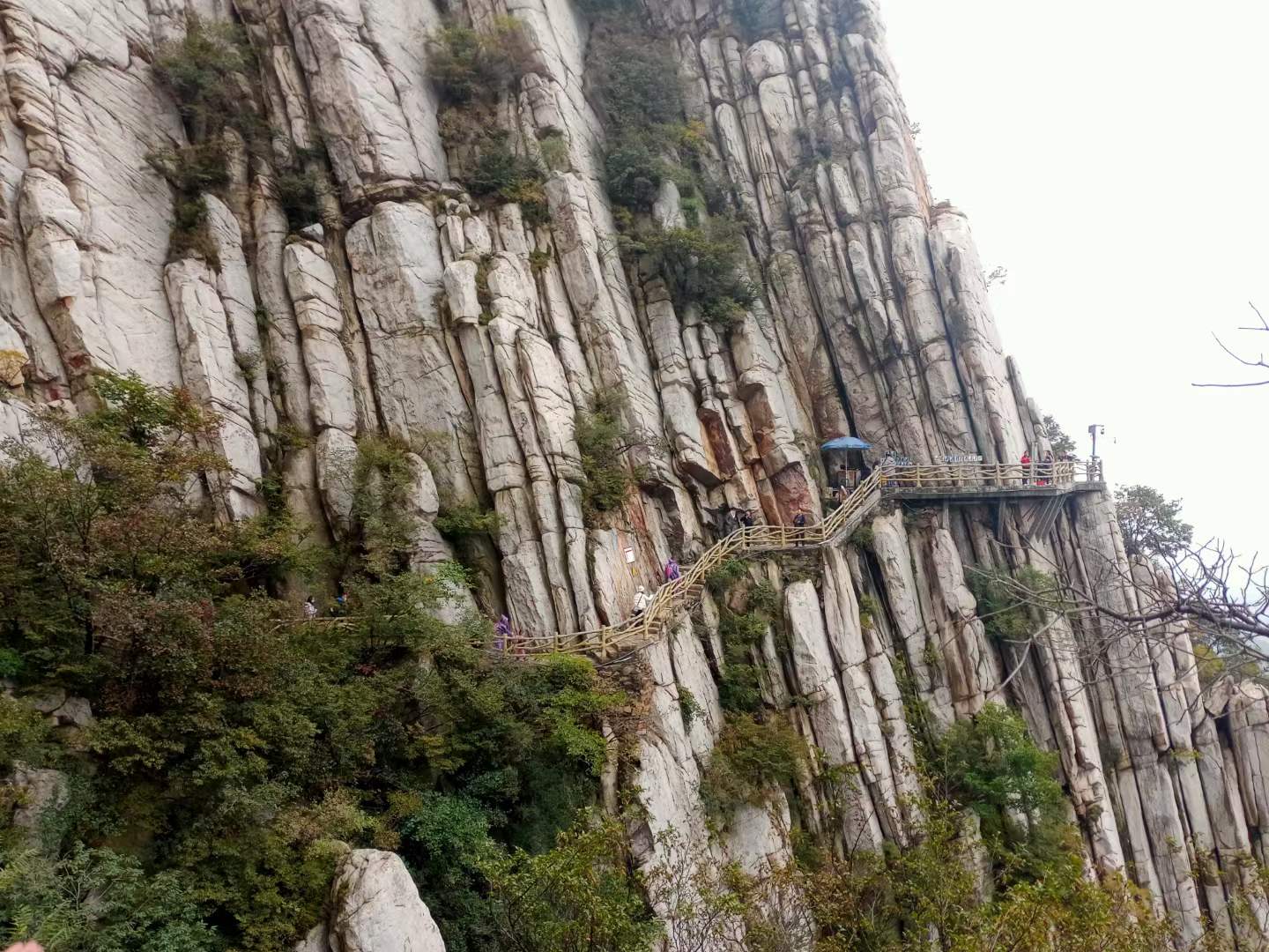 郑州个体工商户核定征收时间，个体户核定征收条件，个体户核定征收税收政策