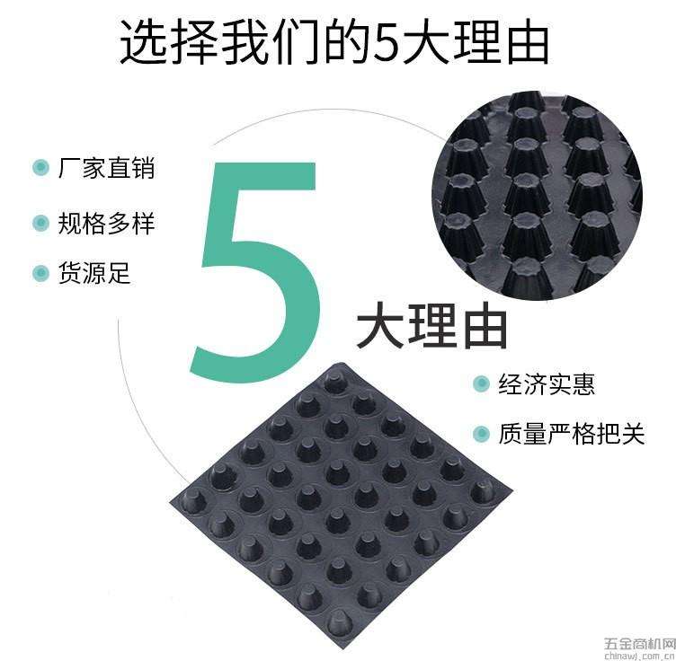 花园排水板凹凸型塑料排水板供应