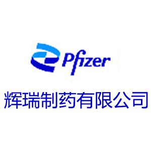 辉瑞制药有限公司